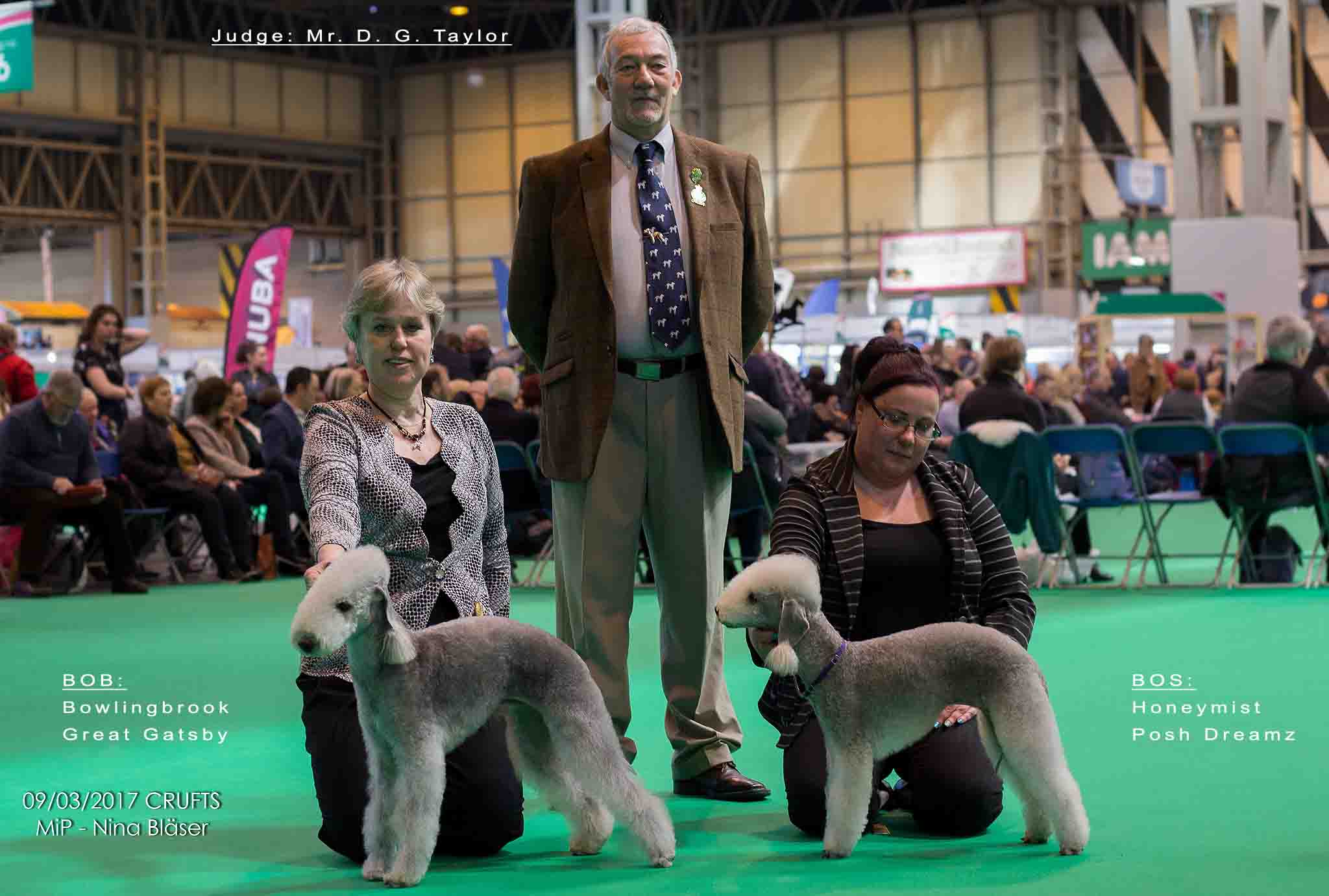 Crufts Best of Breed 2017